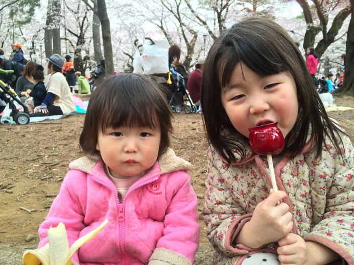 大宮公園の桜がいいじゃん