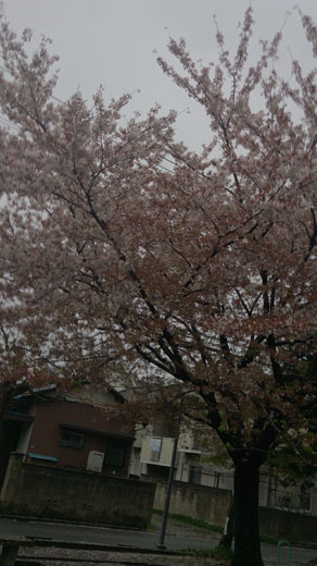 公園がいいじゃん