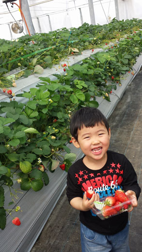 フルーツたくさんがいいじゃん