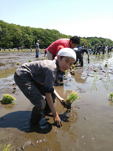 野田自然共生ファームがいいじゃん