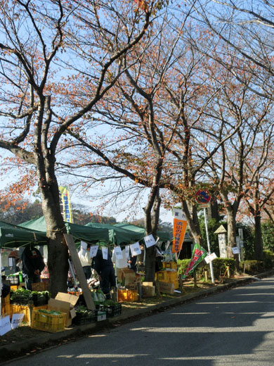 うんがいい朝市がいいじゃん