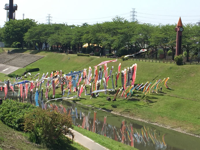 鯉のぼりがいいじゃん