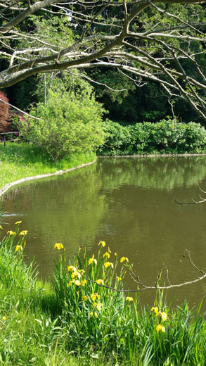 緑豊かな自然がいいじゃん