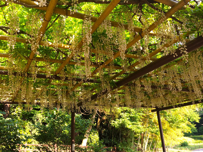 新しい発見ができるところがいいじゃん