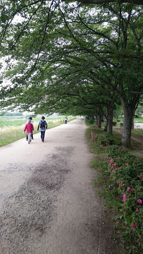 のどかなところがいいじゃん