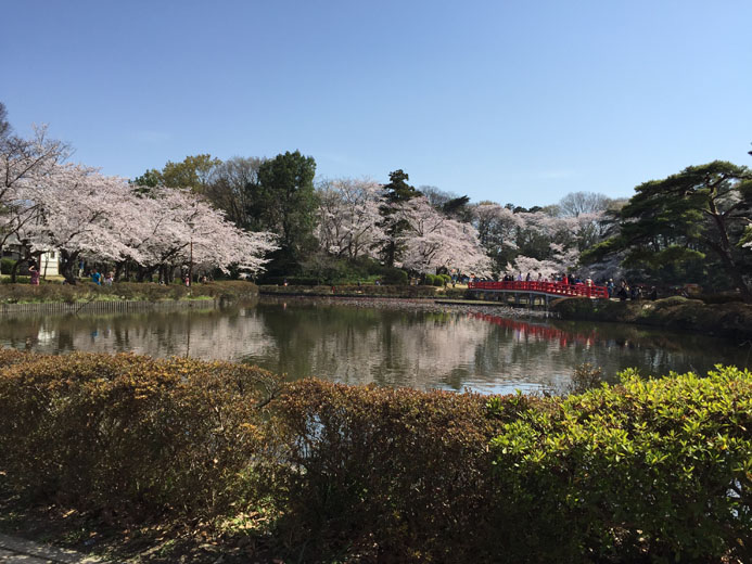 老若男女、ペットも癒される公園がいいじゃん
